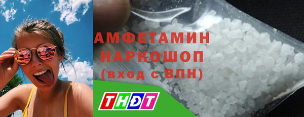 хмурый Алексин
