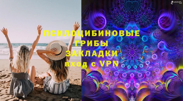 хмурый Алексин