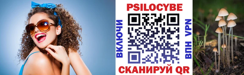 Псилоцибиновые грибы прущие грибы  Кашира 
